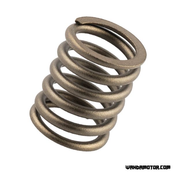 #8 Z50 valve spring outer